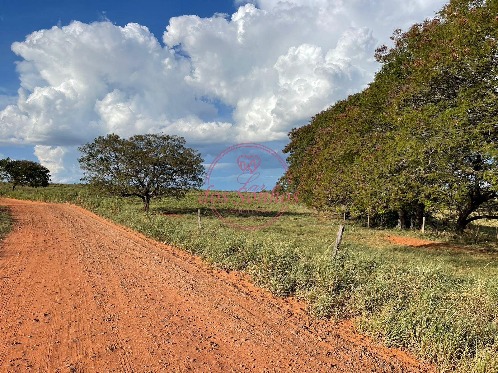 FAZENDA VENDA, ZONA RURAL, CAIUA - SP.