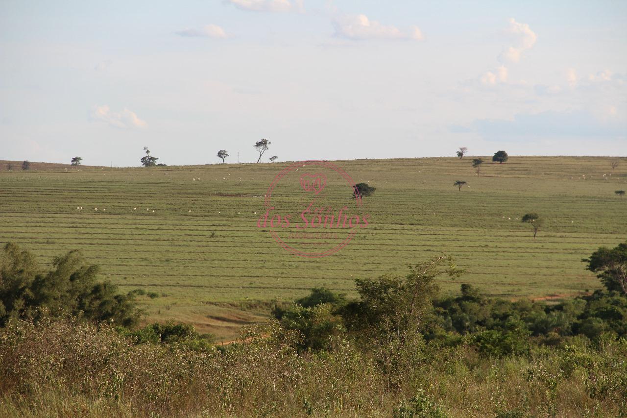FAZENDA VENDA, ZONA RURAL, CAIUA - SP.