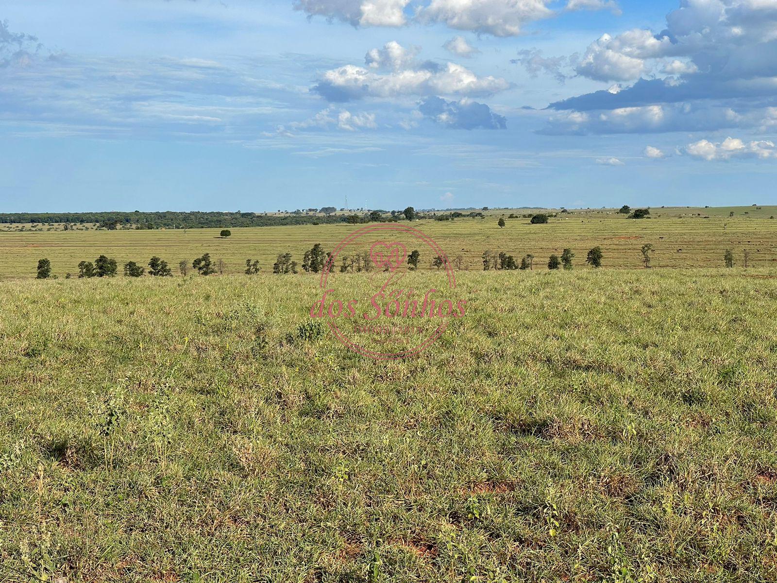 FAZENDA VENDA, ZONA RURAL, CAIUA - SP.