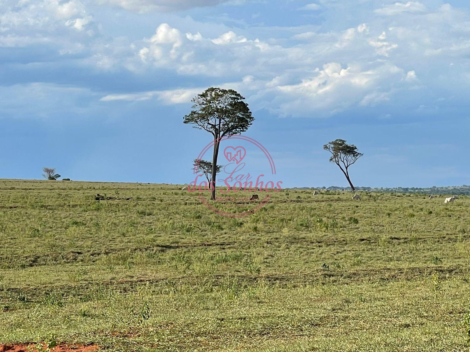 FAZENDA VENDA, ZONA RURAL, CAIUA - SP.