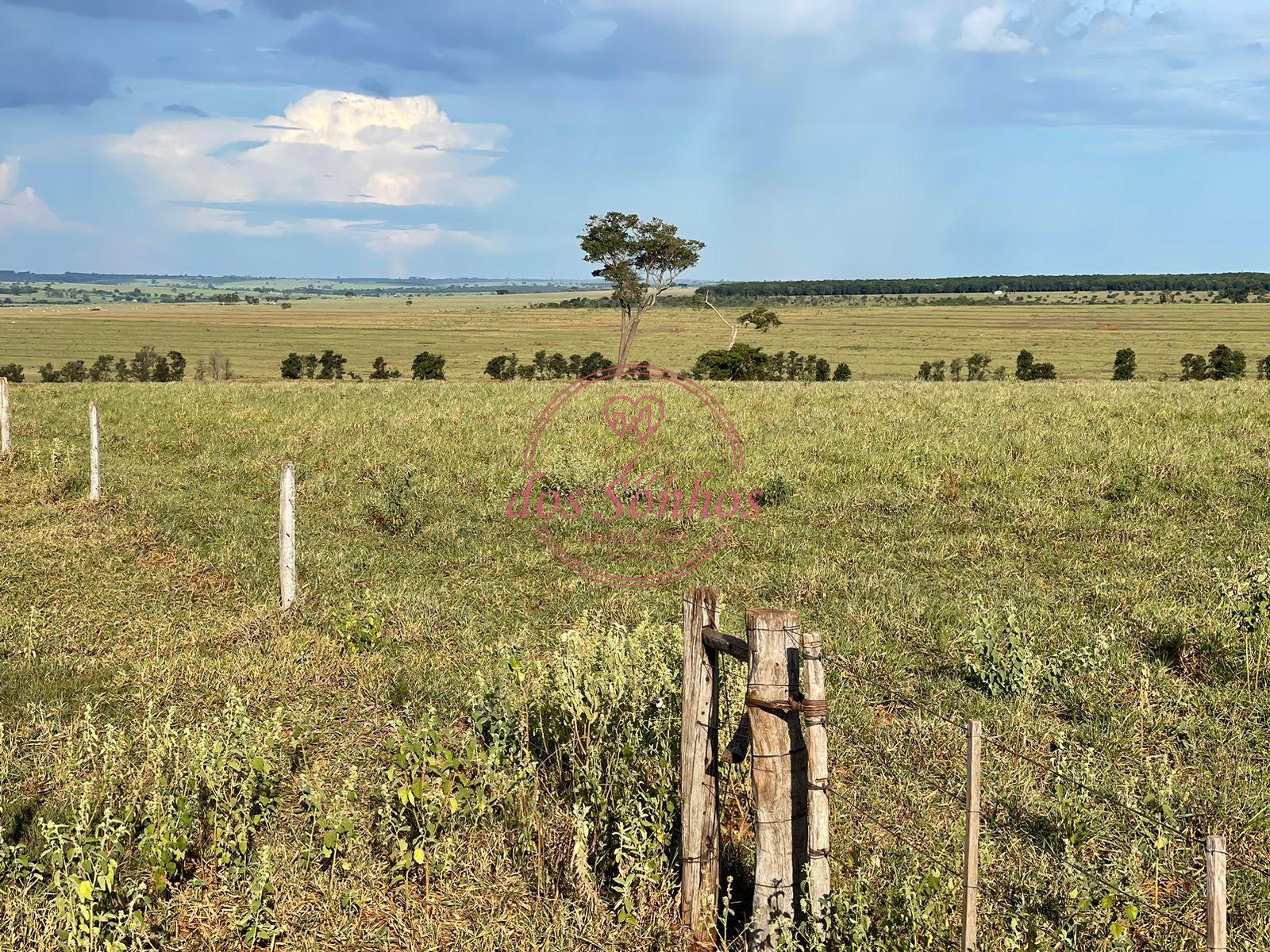 FAZENDA VENDA, ZONA RURAL, CAIUA - SP.
