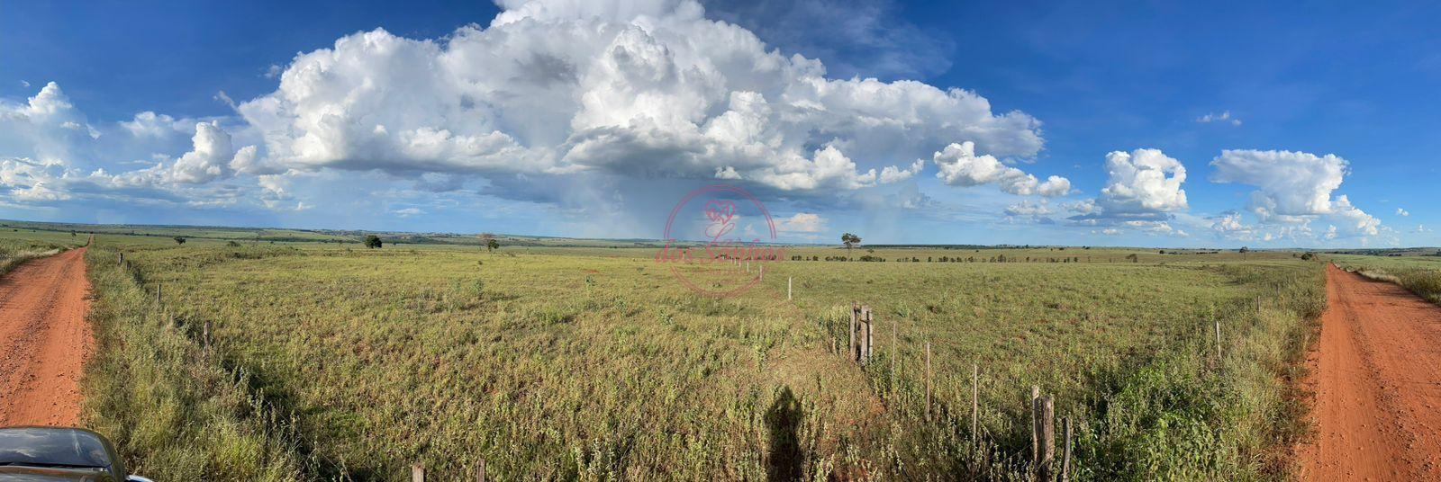 FAZENDA VENDA, ZONA RURAL, CAIUA - SP.