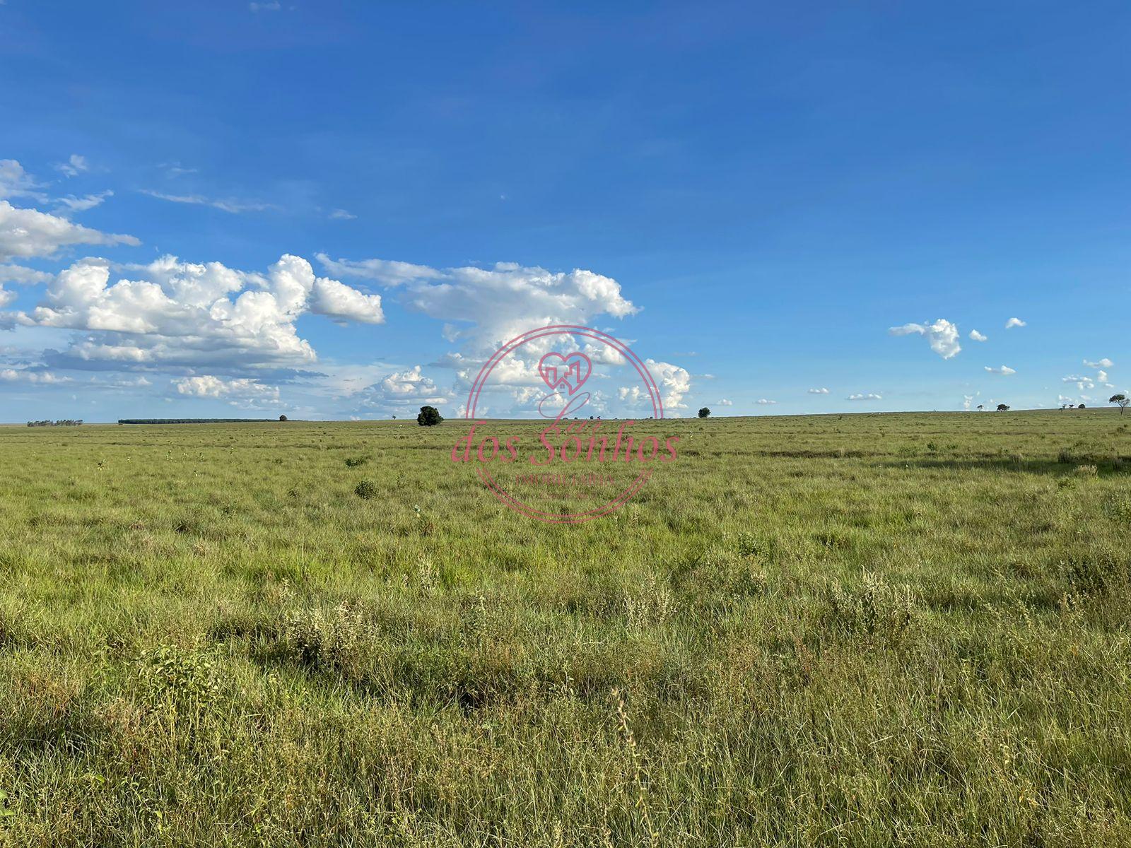 FAZENDA VENDA, ZONA RURAL, CAIUA - SP.