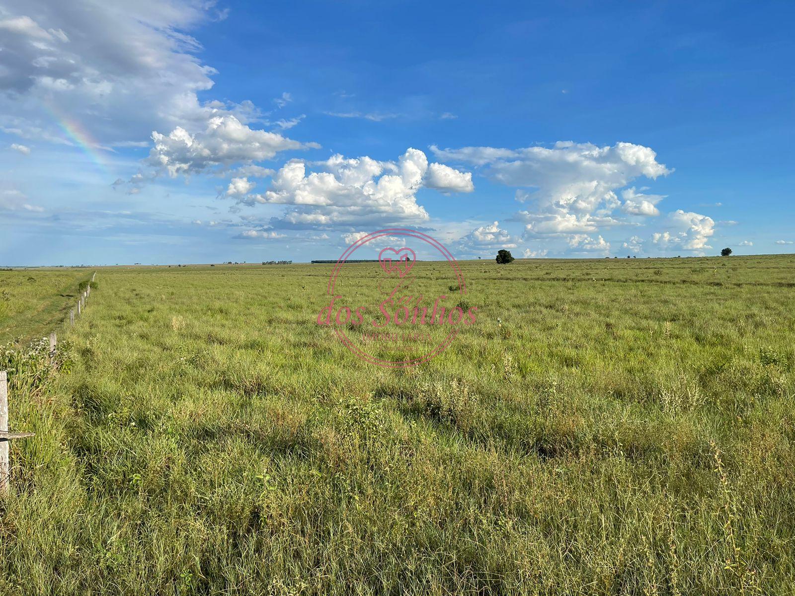 FAZENDA VENDA, ZONA RURAL, CAIUA - SP.
