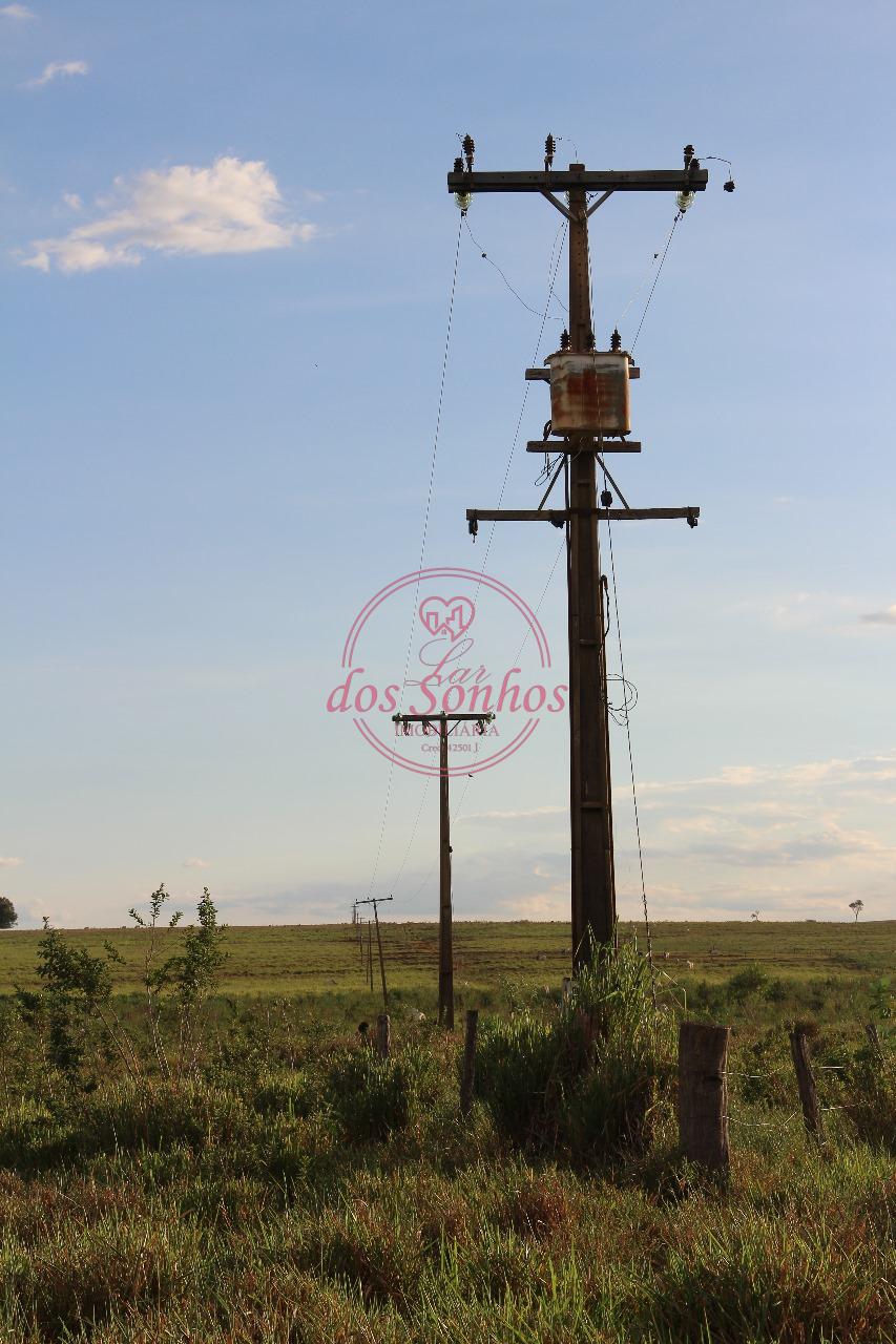 FAZENDA VENDA, ZONA RURAL, CAIUA - SP.