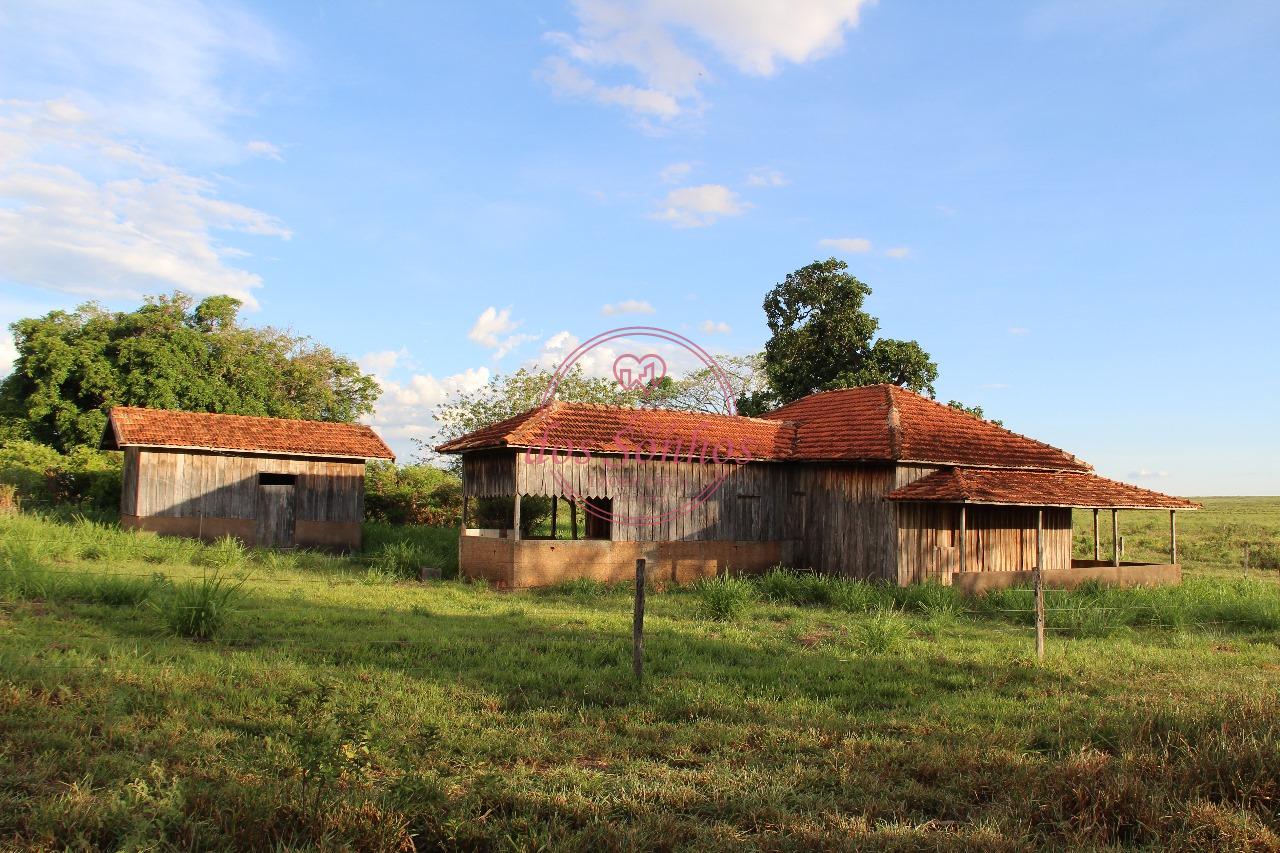 FAZENDA VENDA, ZONA RURAL, CAIUA - SP.