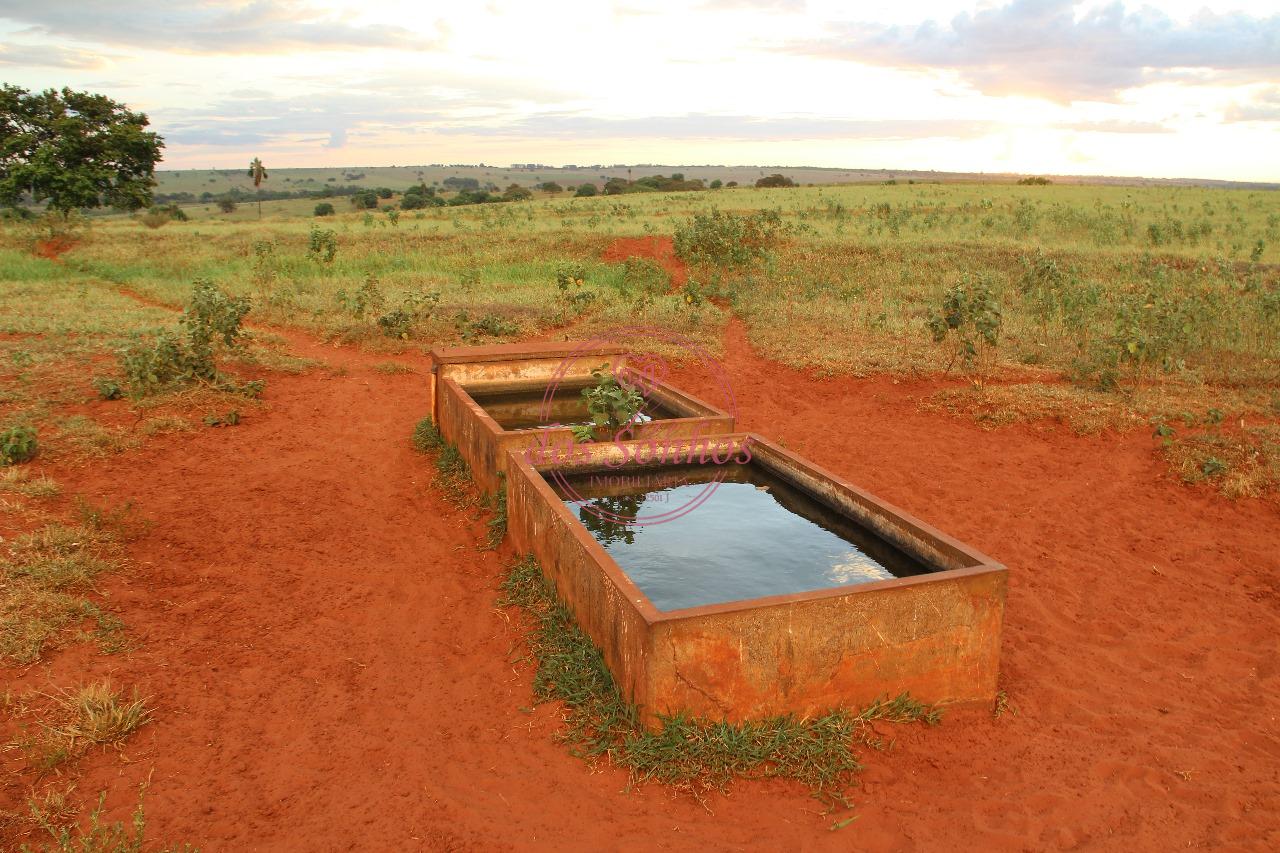 FAZENDA VENDA, ZONA RURAL, CAIUA - SP.