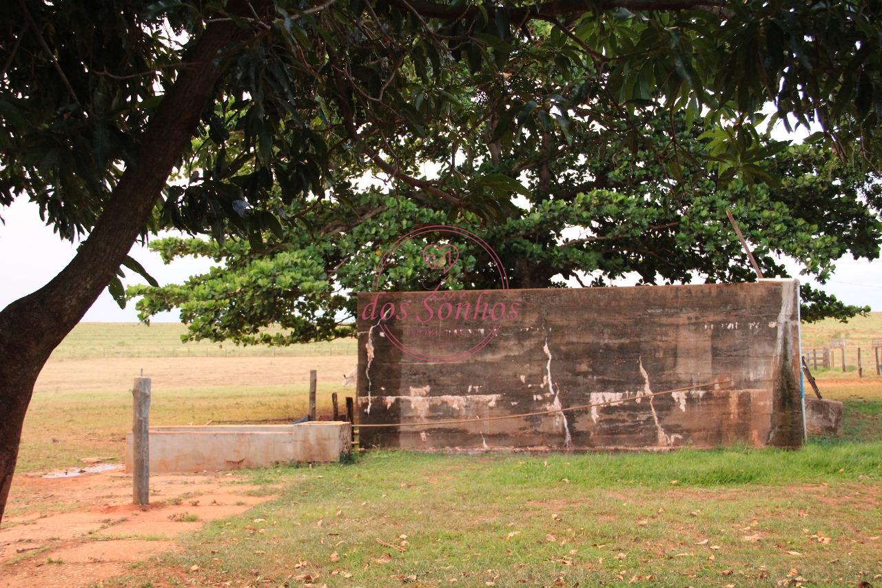FAZENDA VENDA, ZONA RURAL, CAIUA - SP.