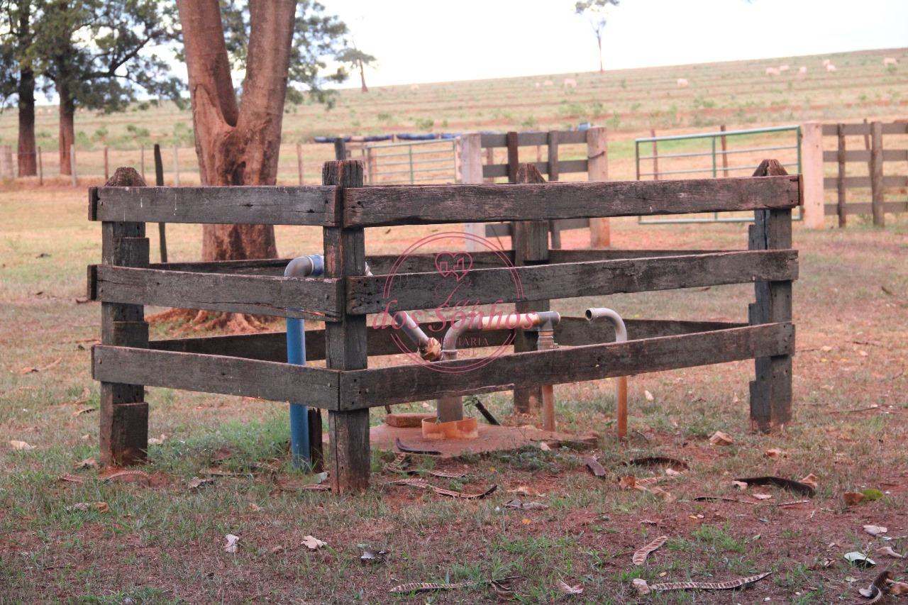 FAZENDA VENDA, ZONA RURAL, CAIUA - SP.