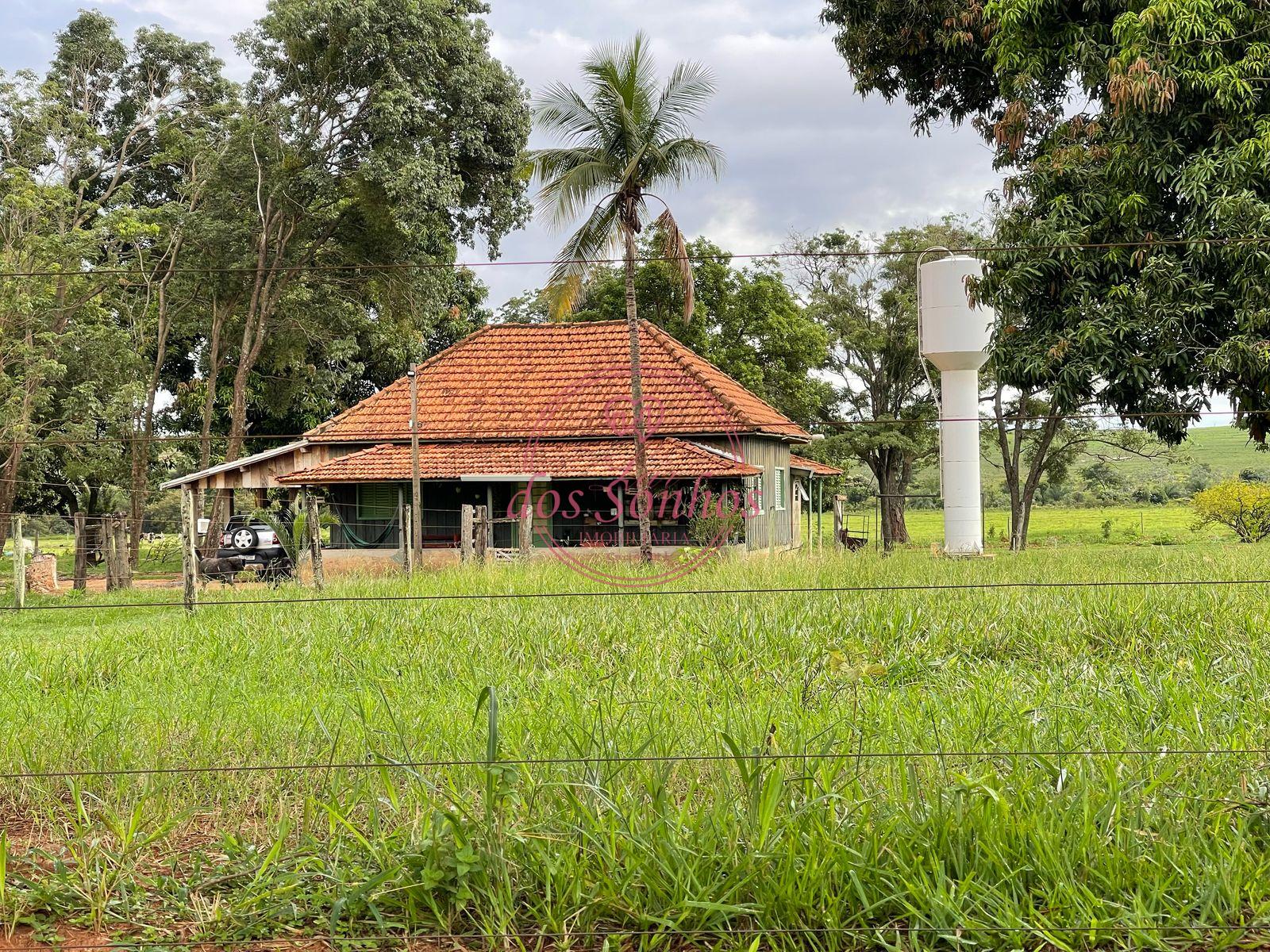 FAZENDA VENDA, ZONA RURAL, CAIUA - SP.