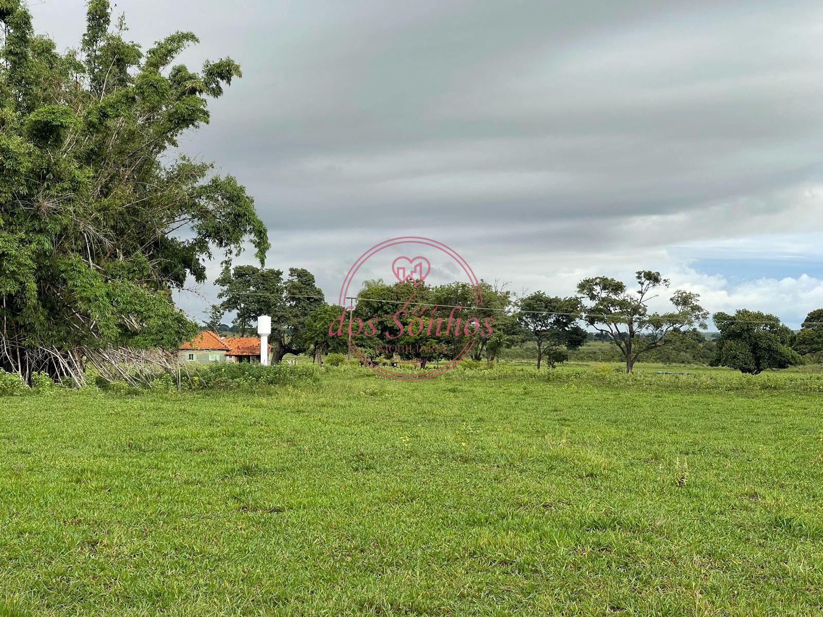 FAZENDA VENDA, ZONA RURAL, CAIUA - SP.