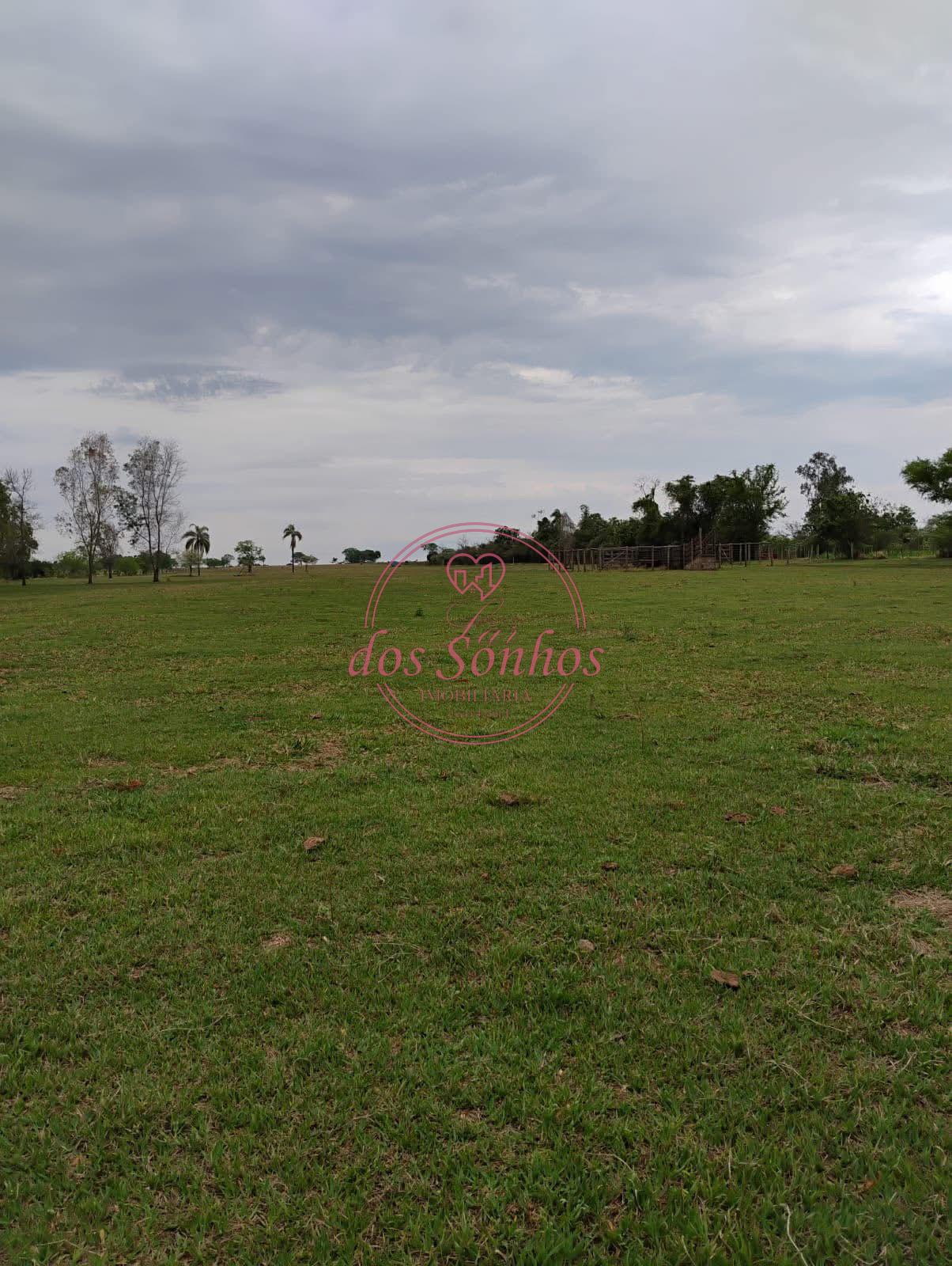 EXCELENTE STIO VENDA, ZONA RURAL DE CAIU - SP