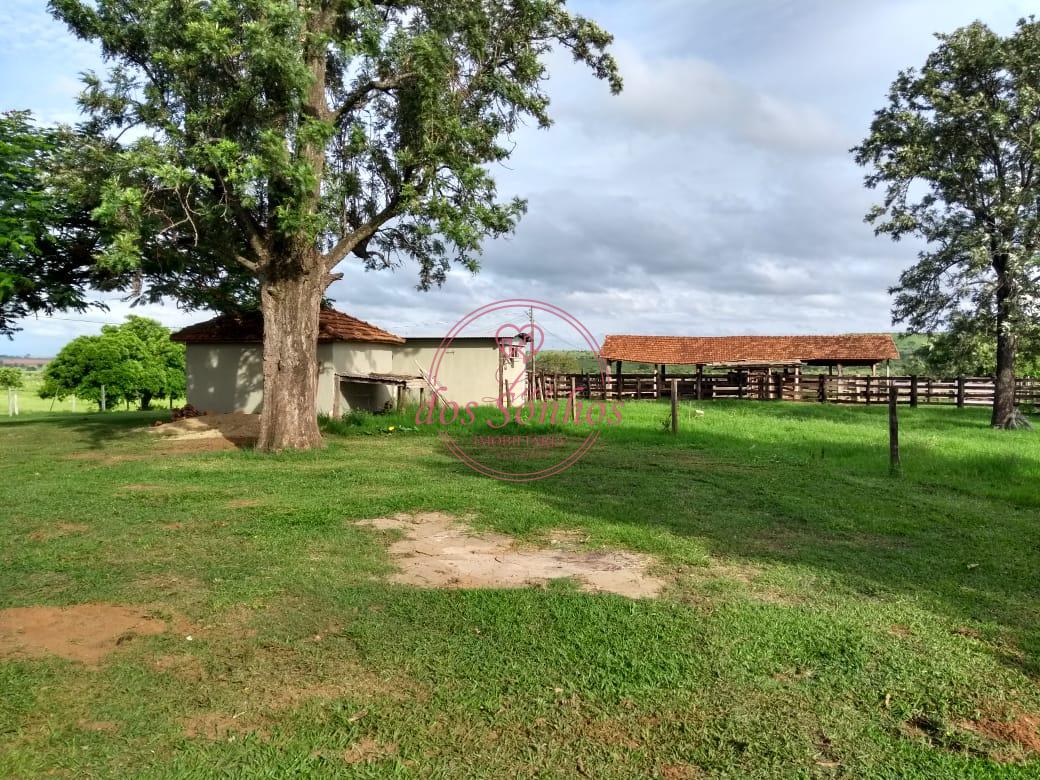 FAZENDA À VENDA, ZONA RURAL DE MARABA PAULISTA - SP