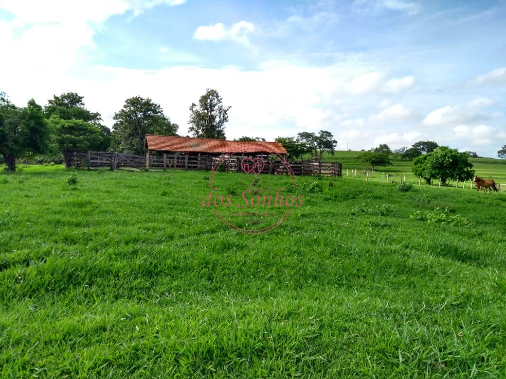 FAZENDA À VENDA, ZONA RURAL DE MARABA PAULISTA - SP