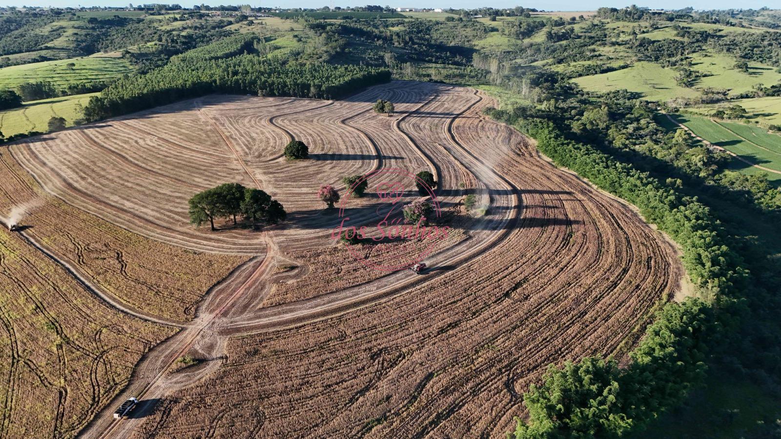 FAZENDA DISPONÍVEL À VENDA, ENTRE RIOS , ECHAPORA - SP