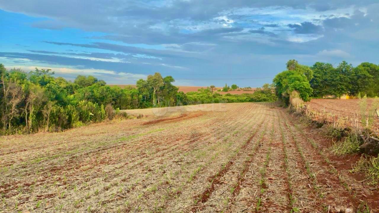 CHACARA COM 25 MIL METROS QUADRADOS NO DISTRITO DE QUATRO PONTES PR