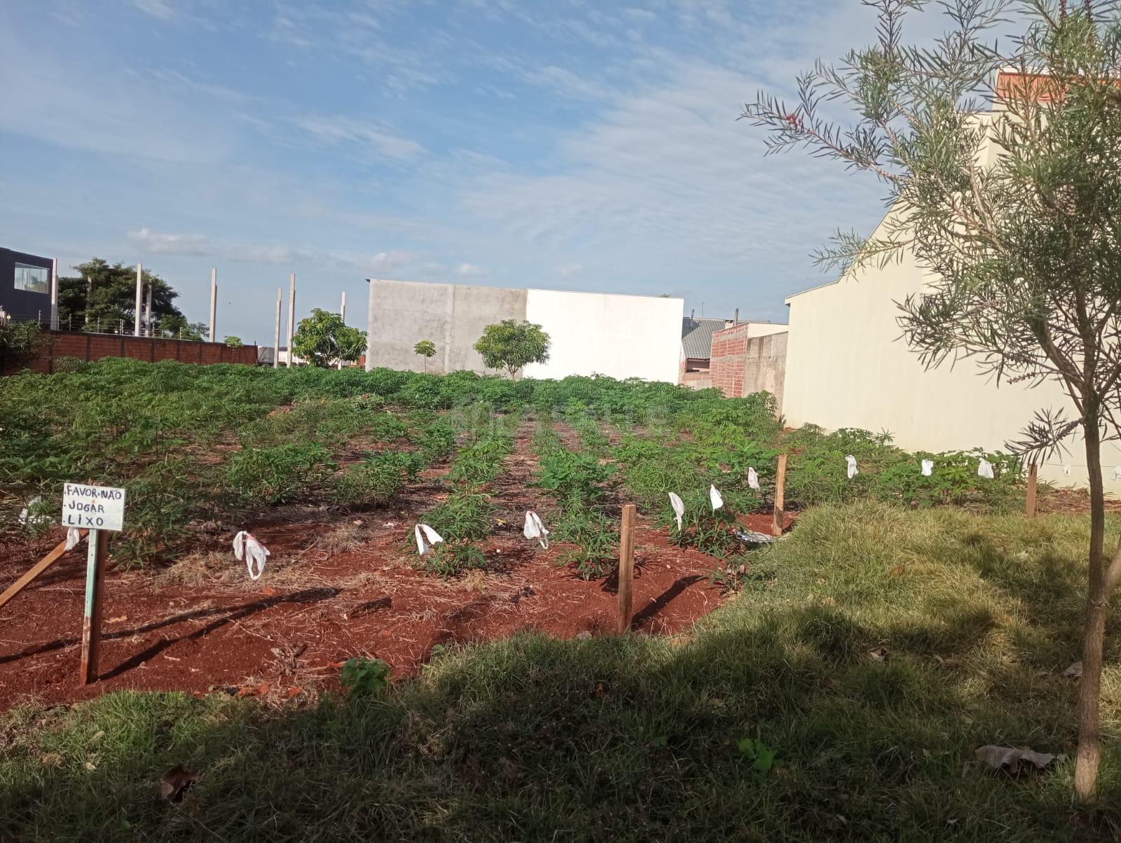 Terreno à venda c  680m2 no Loteamento Gafuri, Jardim Gisela, TOLEDO - PR