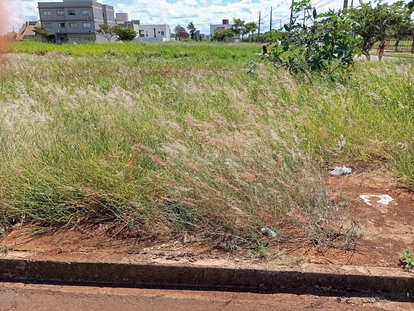 TERRENO EM AREA NOBRE COM  INFRAESTRUTURA, NA REGIÃO CENTRAL DA CIDADE
