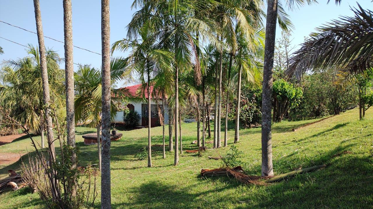 Area Rural à venda com chiqueiro e produção de leite, Área Rural, CEU AZUL - PR