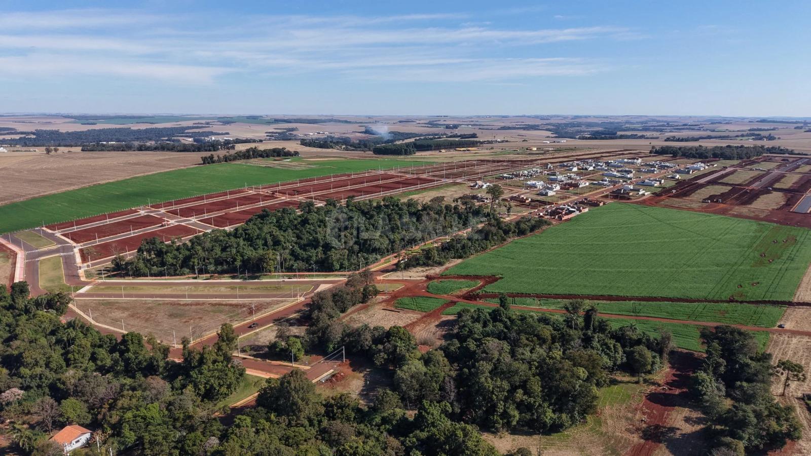 Terreno à venda no Loteamento Gualtieri com 250m² ( 10x25) Cristo Rei - Toledo PR