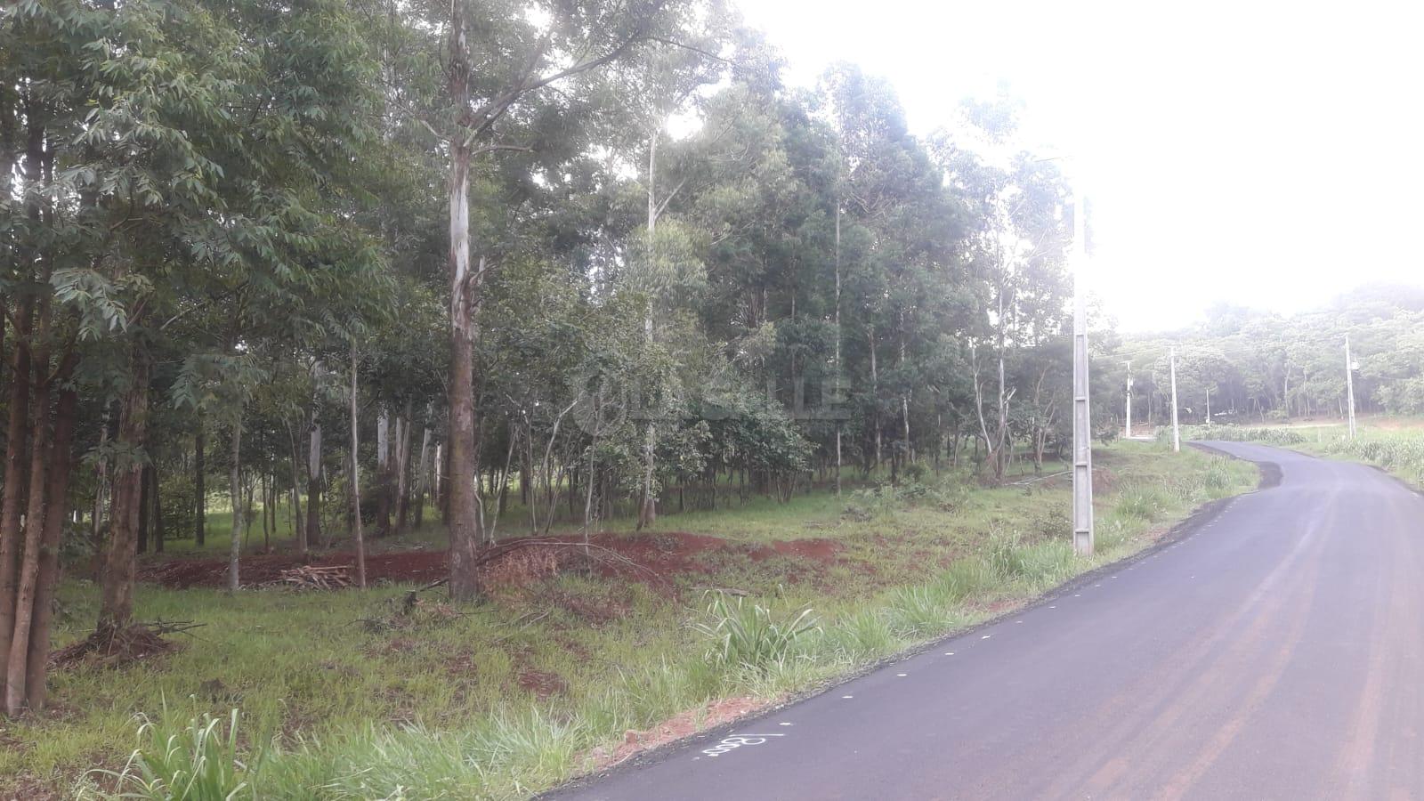 Chácara à venda, Quatro Pontes, TOLEDO - PR