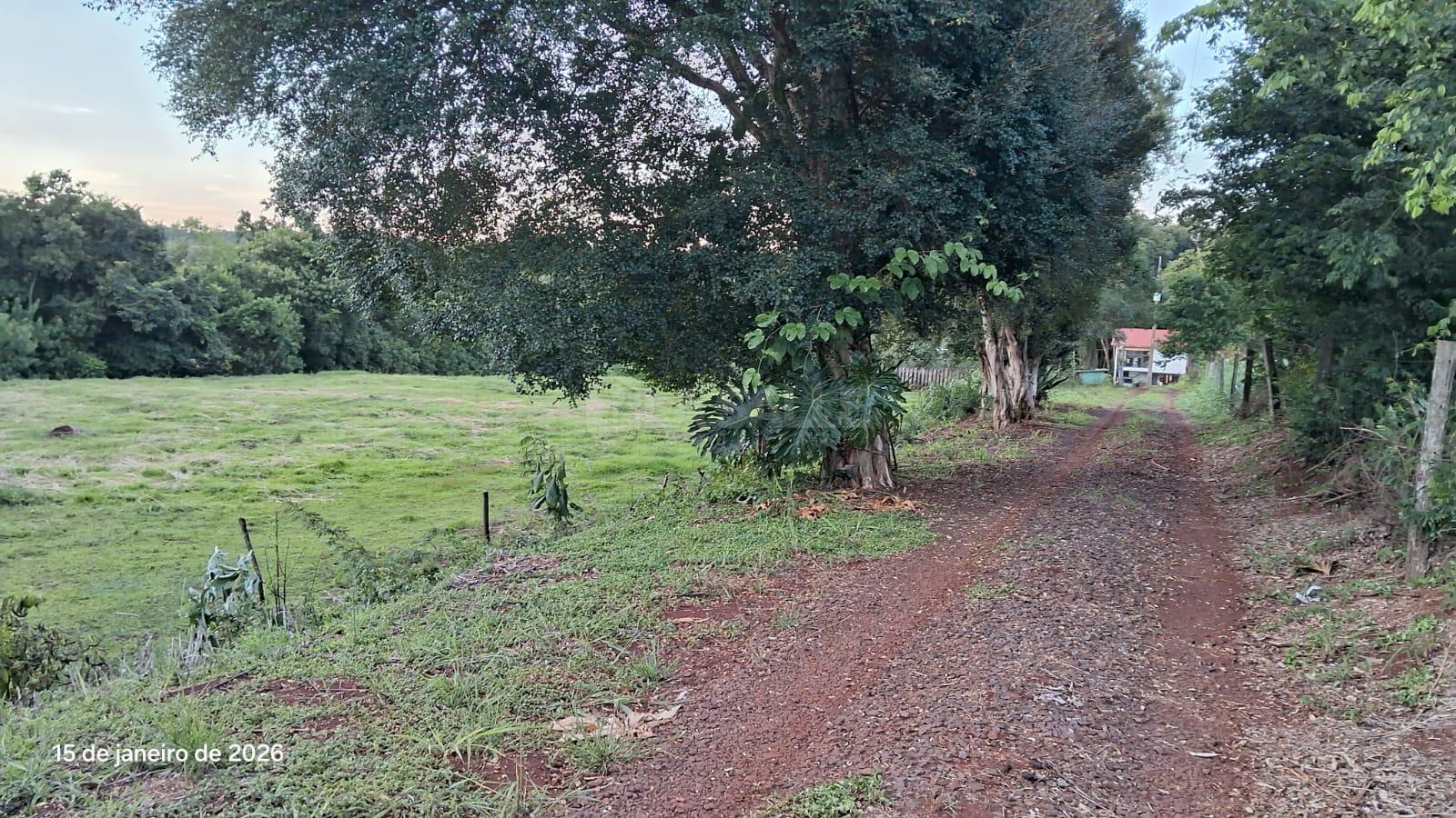 Chácara à venda, Novo Sobradinho, TOLEDO - PR