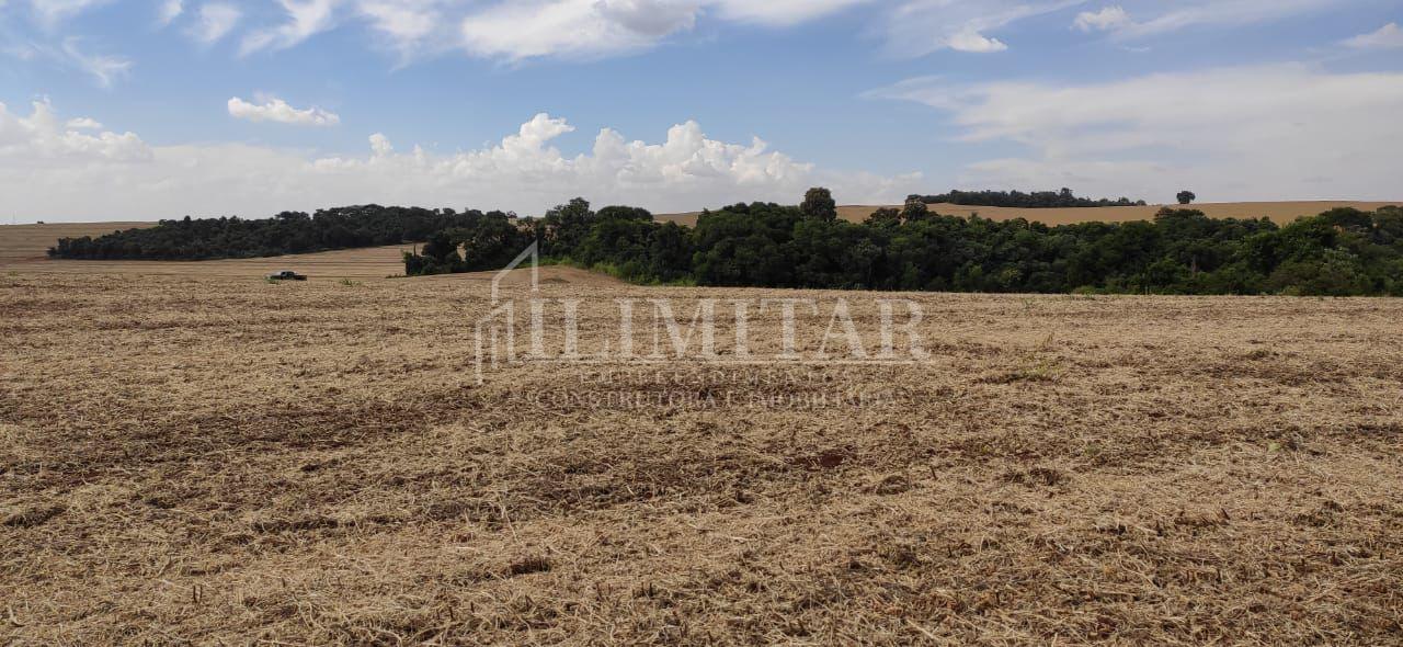 Terreno rural à venda,24.200,00m  Céu Azul-PR