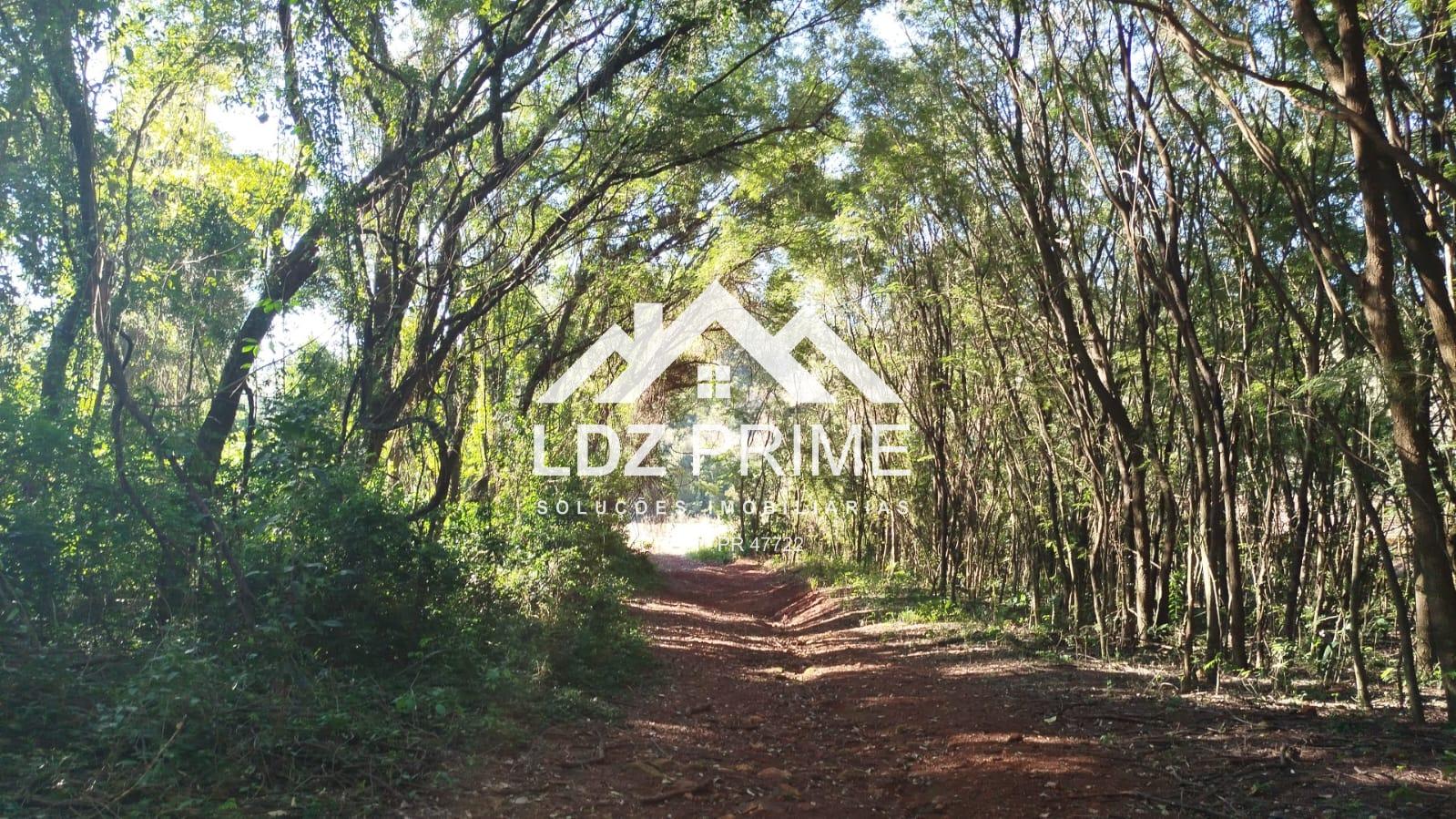 Chácara à venda de 2,5 alqueires, 2 rios, fonte água, Medianei...