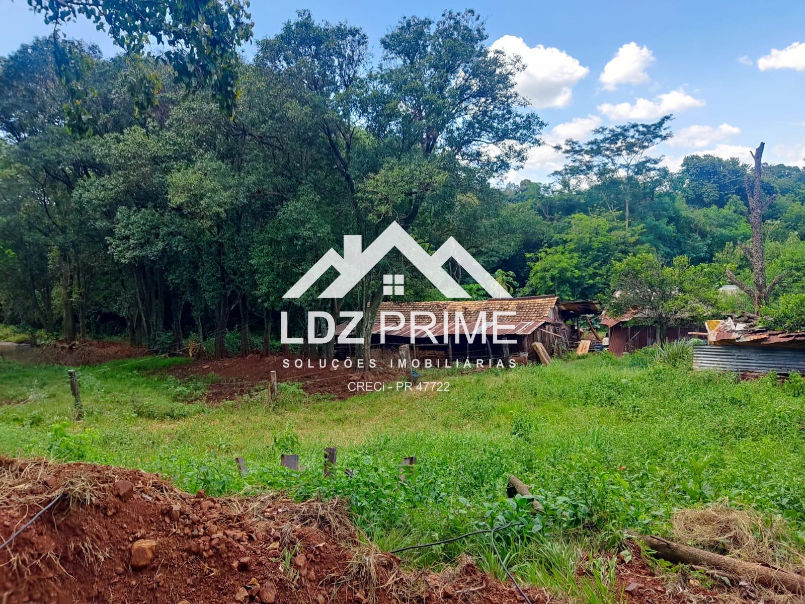 Sítio de 4,3 hectares, localizado na Vista Alegre, Missal PR