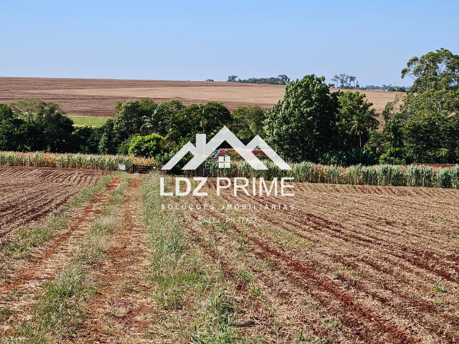 Ch?cara ? venda  de 20.000m  com benfeitorias , ?rea Industria...