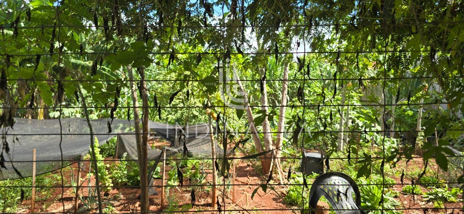 Terreno, 300 m² - Foto 5