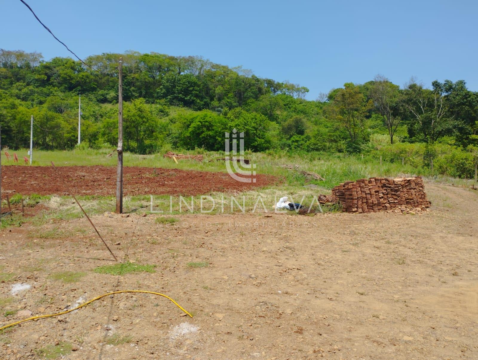 Sítio, 4 hectares - Foto 15