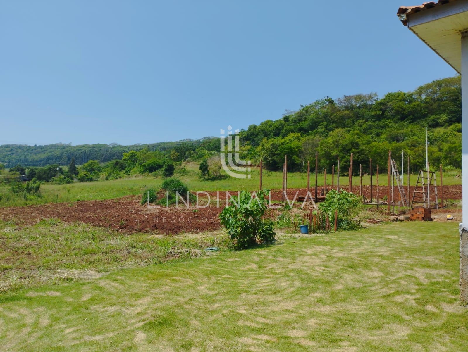 Sítio, 4 hectares - Foto 10