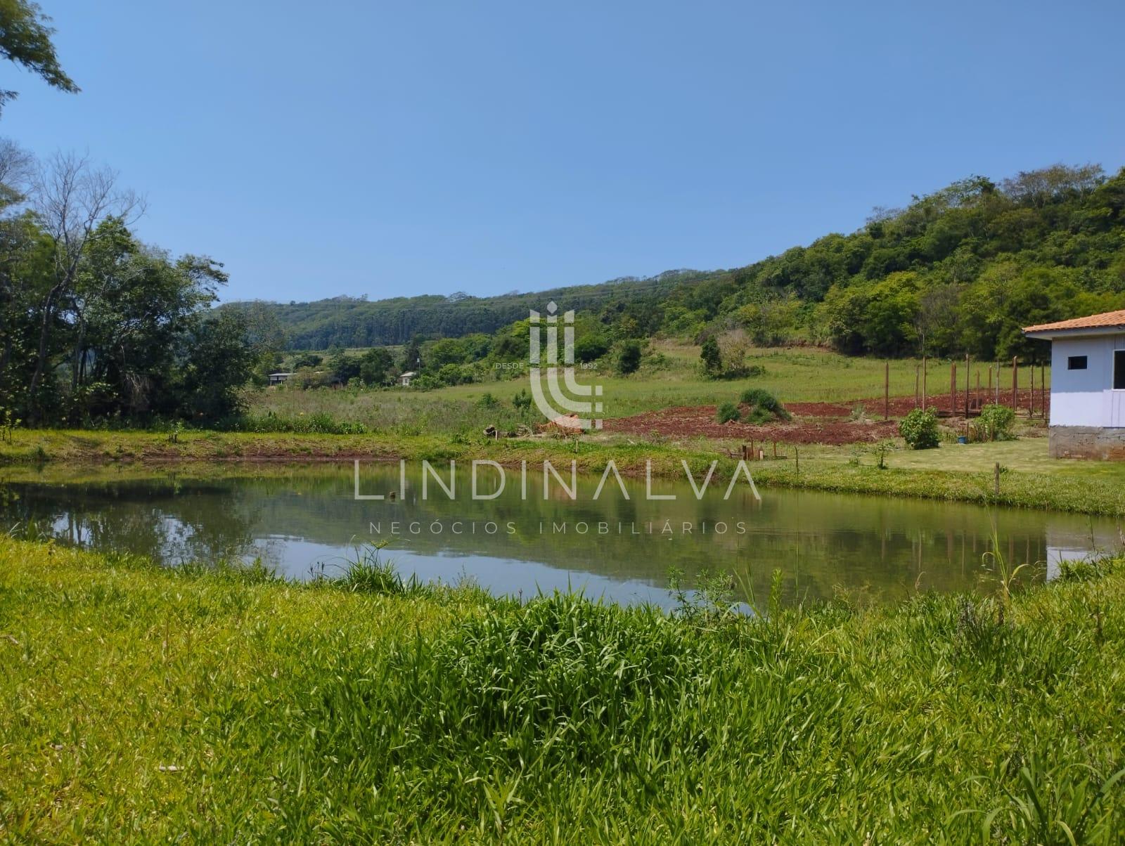 Sítio, 4 hectares - Foto 17