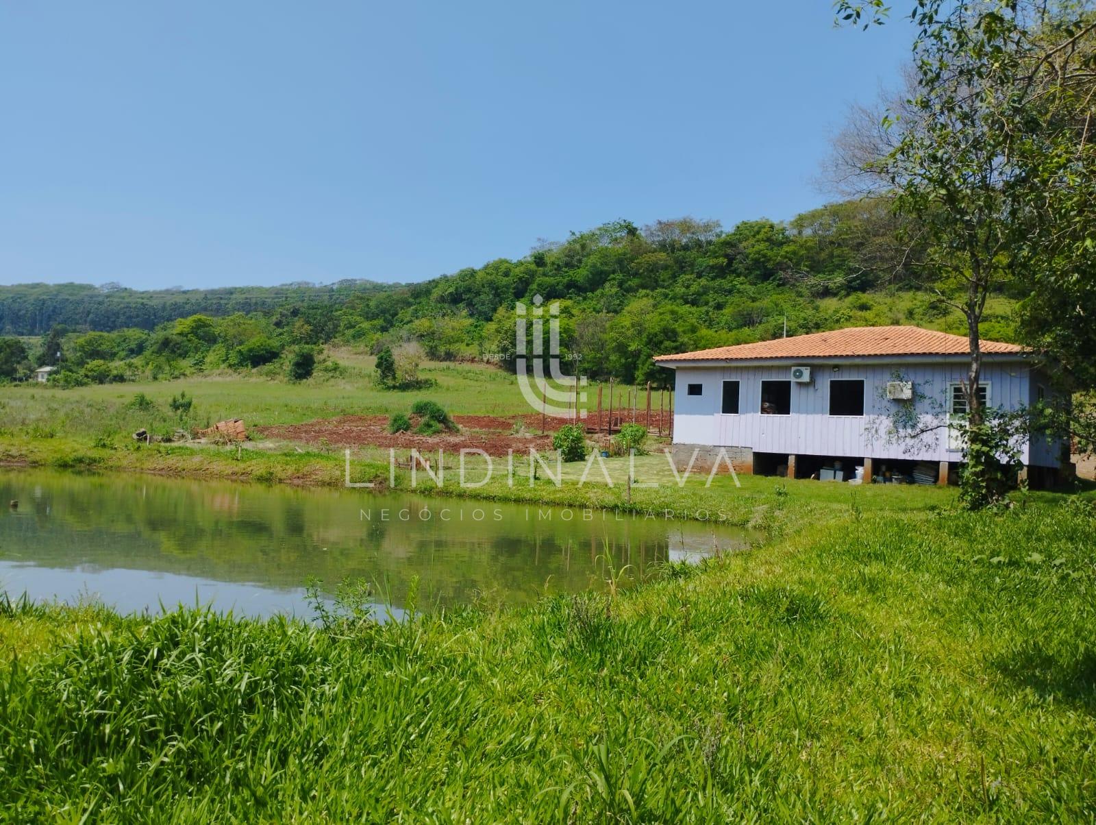 Sítio, 4 hectares - Foto 6