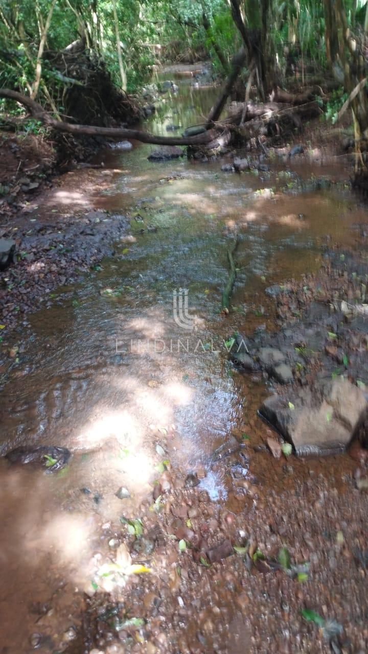Sítio, 4 hectares - Foto 31