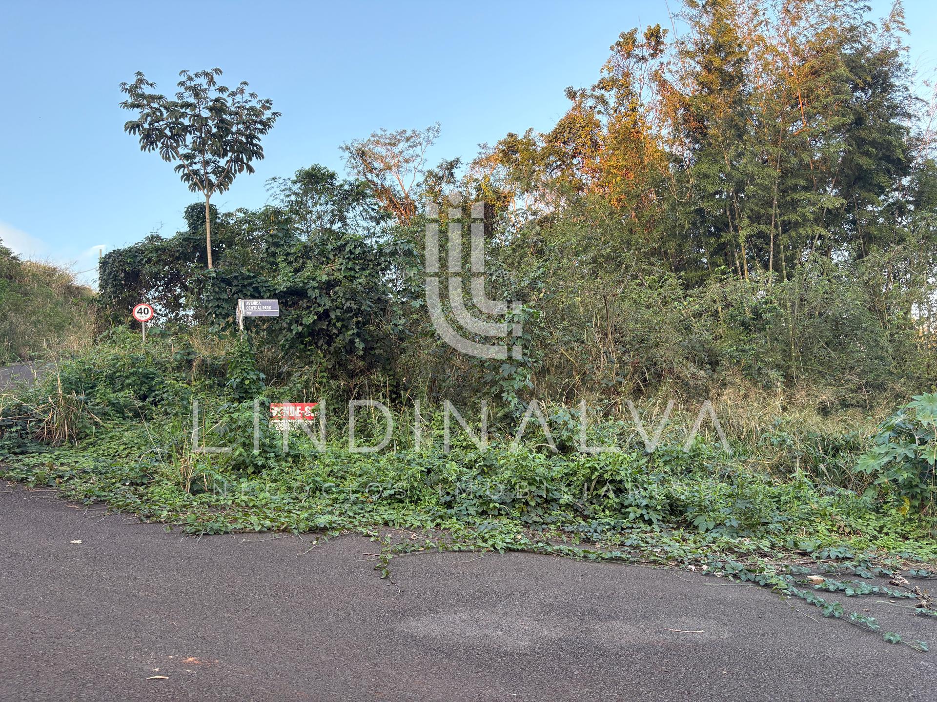 Terreno de 277,82m2 no Parque Residencial Ecoville | Avenida Central Park