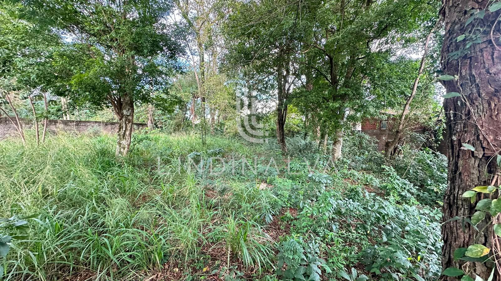 Área murada à venda no Três Lagoas. próx. Avenida João Ricieri Maran I 1500m2