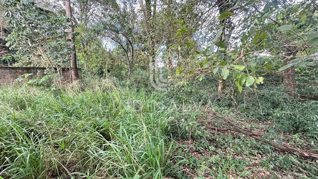 Área murada à venda no Três Lagoas. próx. Avenida João Ricieri Maran I 1500m2