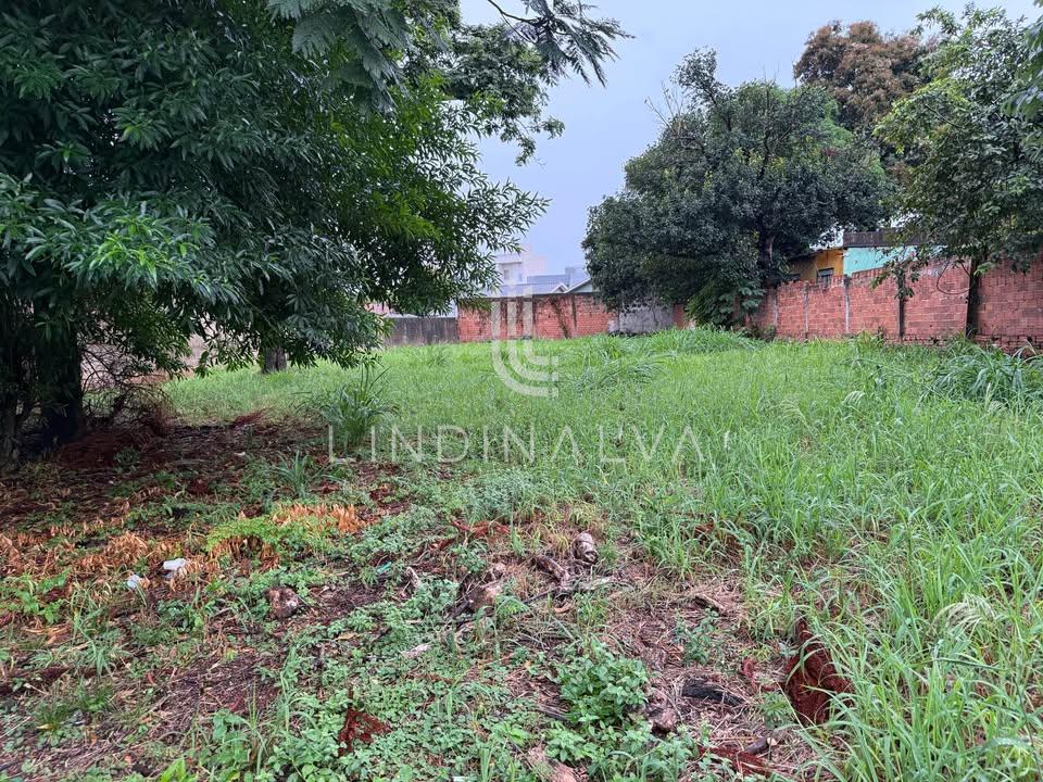 Terreno para investidores no Centro de Foz do Iguaçu - 923,00m2