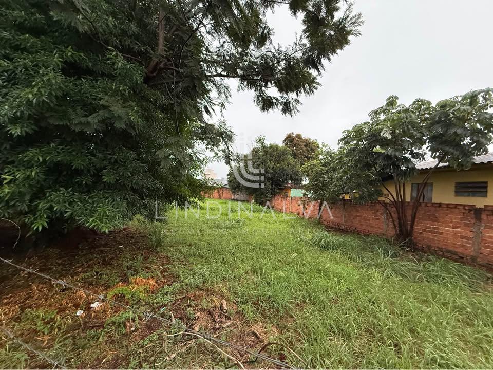Terreno para investidores no Centro de Foz do Iguaçu - 923,00m2