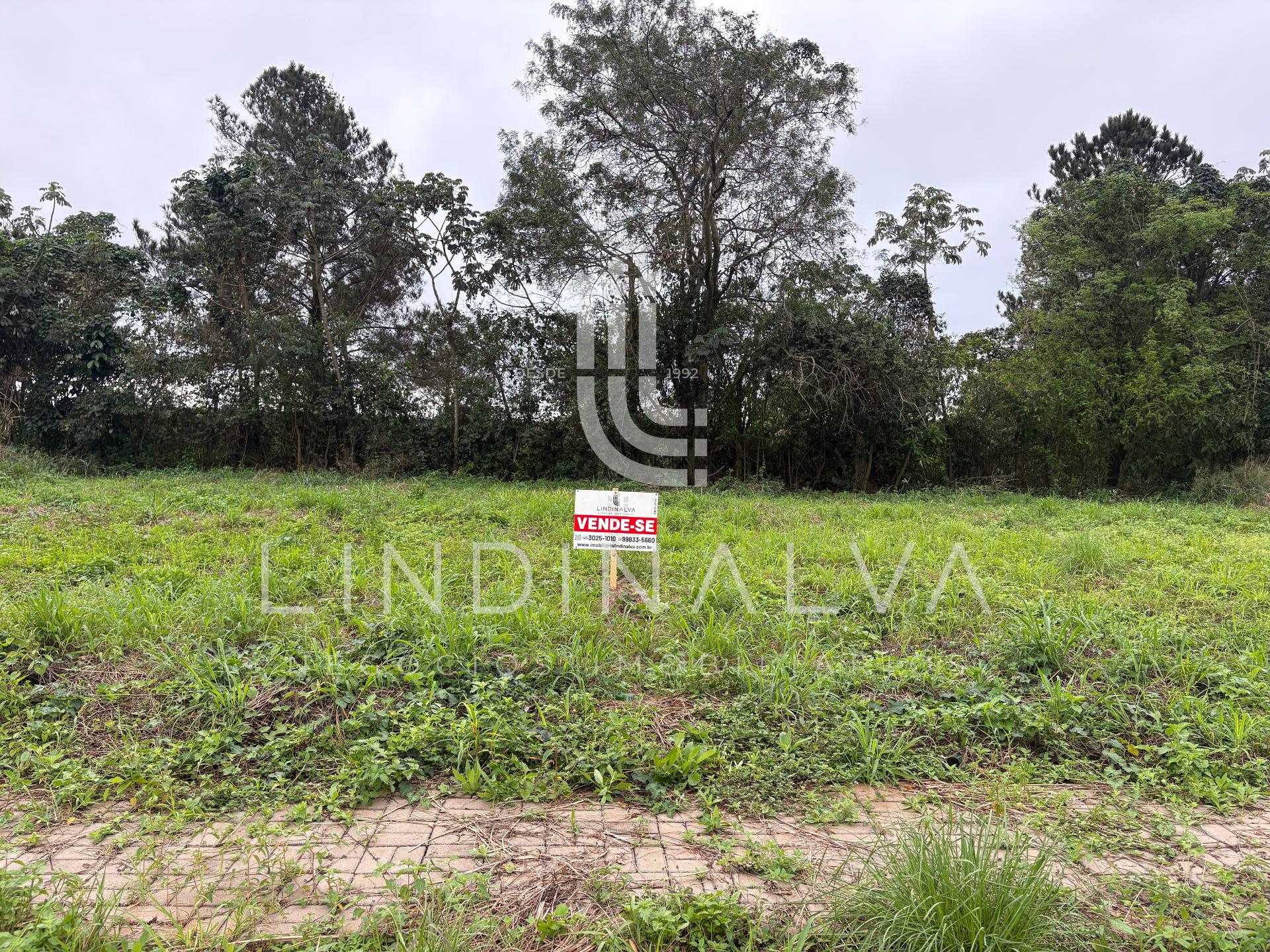 Terreno de 220 m2 no Parque Residencial Ecoville 2 - Na principal rua de acesso