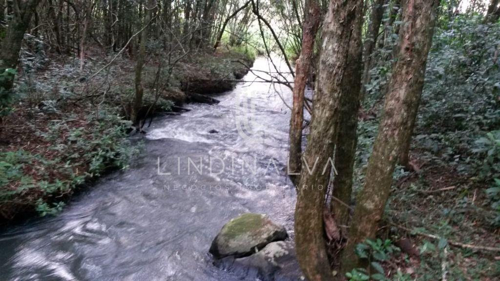 Área na Av. Felipe Wandscheer com 10.649 m2 - com mata e riach...