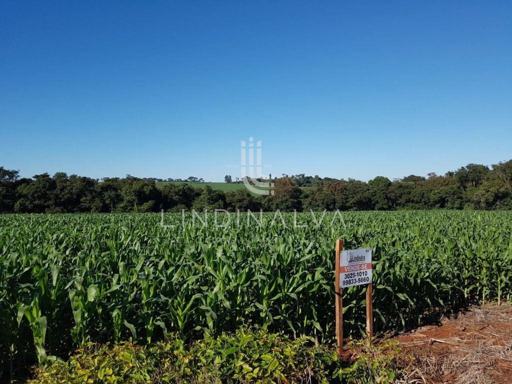 Área na Av. Felipe Wandscheer com 10.649 m2 - com mata e riach...