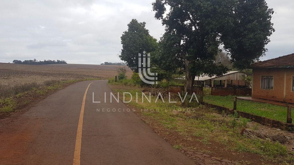 Chácara, 3 hectares - Foto 5