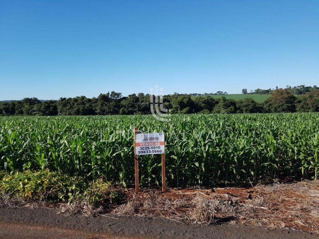 Área na Av. Felipe Wandscheer com 10.649 m2 - com mata e riach...