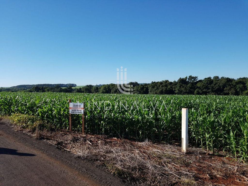 Área na Av. Felipe Wandscheer com 10.649 m2 - com mata e riach...