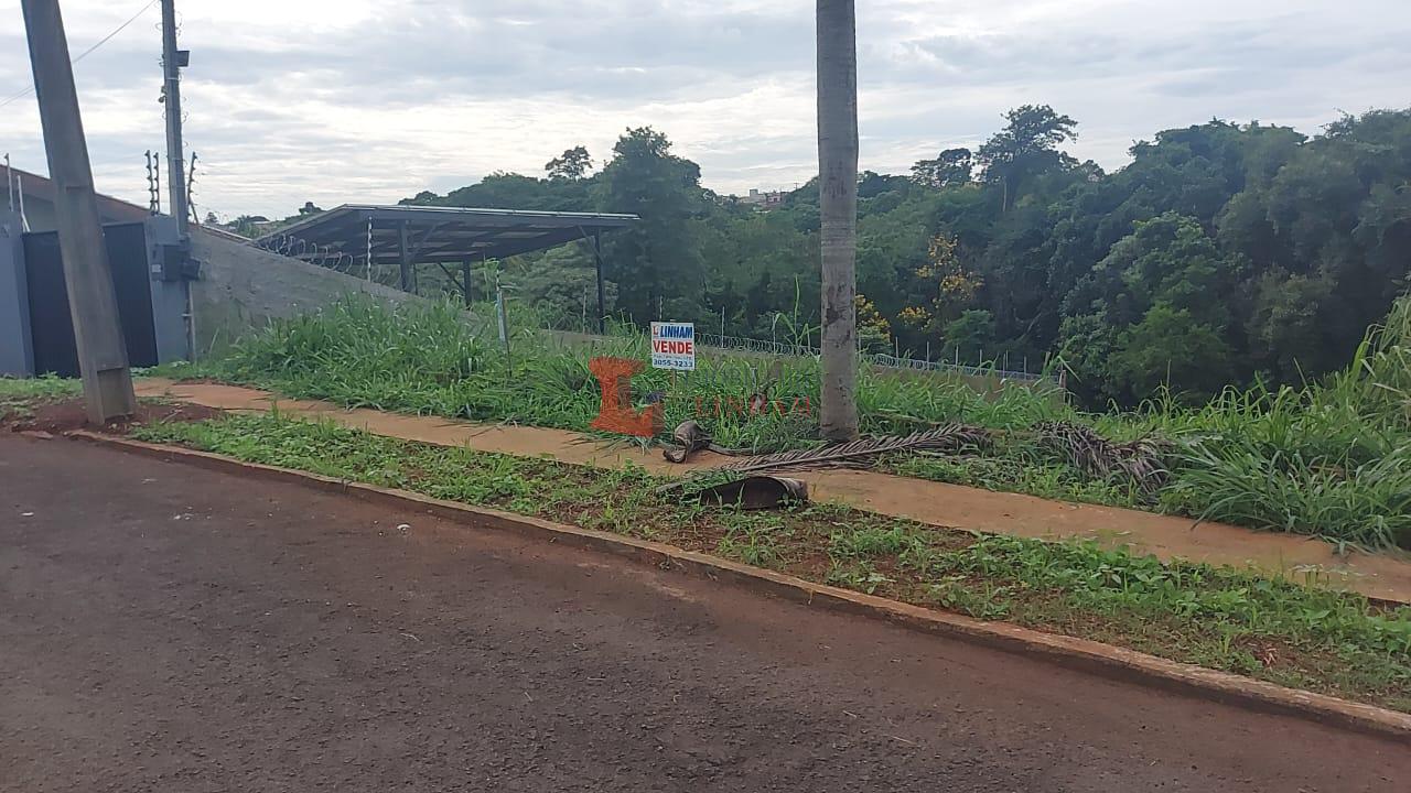3 TERRENOS A VENDA HÁ 5 MINUTOS DA AVENIDA ARAPONGAS - VILA SÃ...
