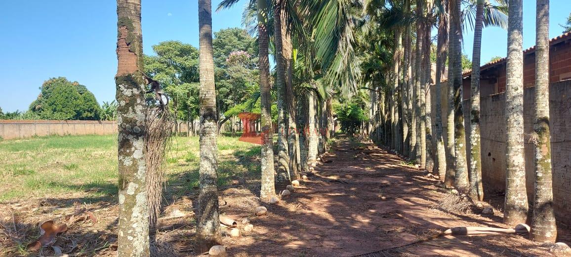 CHÁCARA DE 4000M  À VENDA  EM SABAUDIA