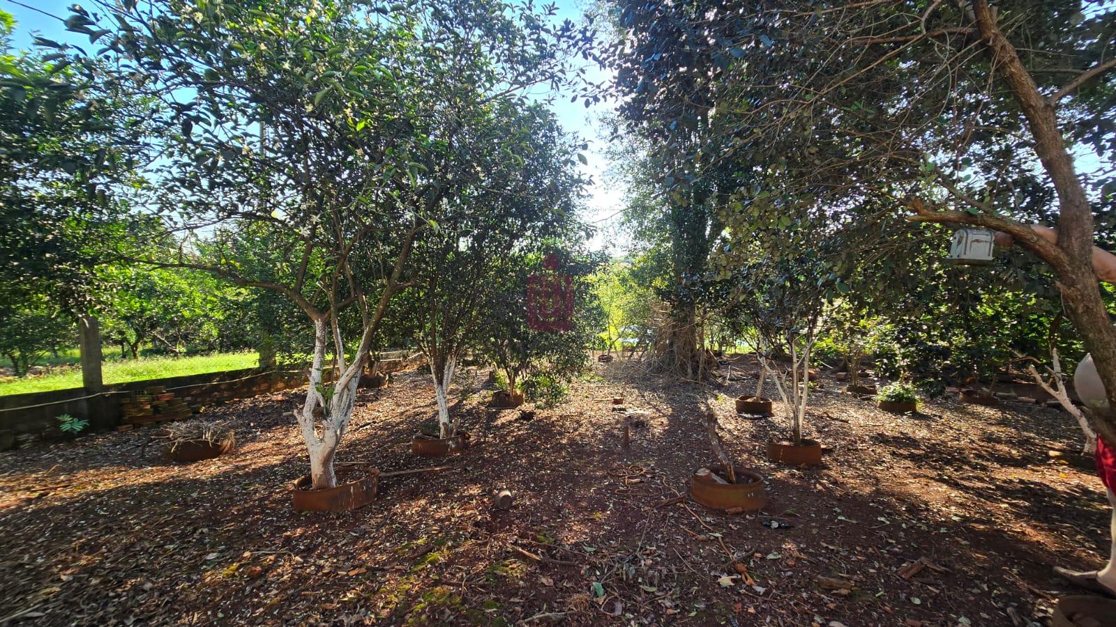 CHÁCARA - RUA VICTORIO BASSO - LOTE GRANDE